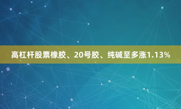 高杠杆股票橡胶、20号胶、纯碱至多涨1.13%