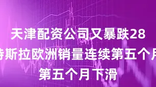 天津配资公司又暴跌28%！特斯拉欧洲销量连续第五个月下滑