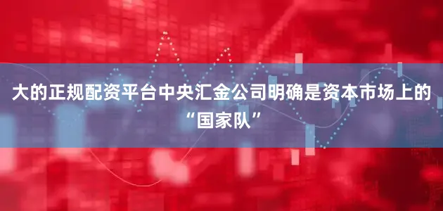 大的正规配资平台中央汇金公司明确是资本市场上的“国家队”