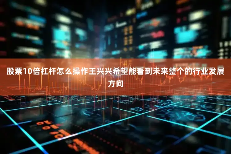 股票10倍杠杆怎么操作王兴兴希望能看到未来整个的行业发展方向