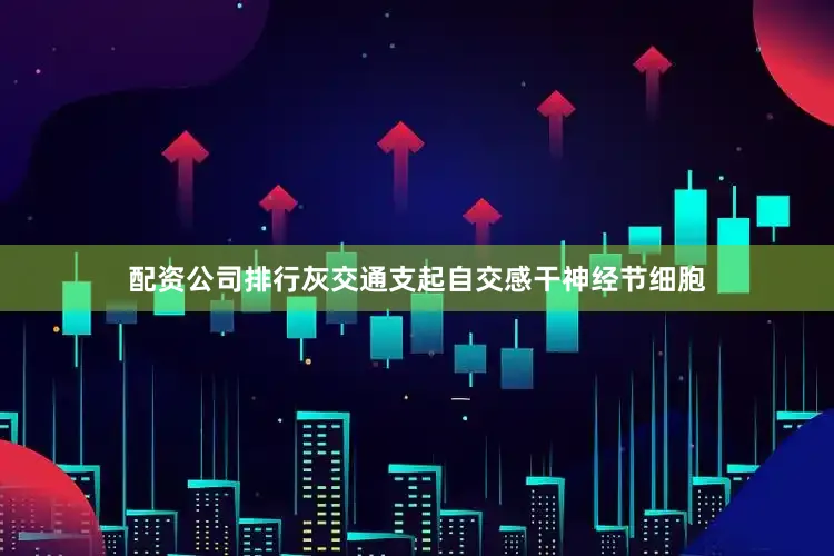 配资公司排行灰交通支起自交感干神经节细胞