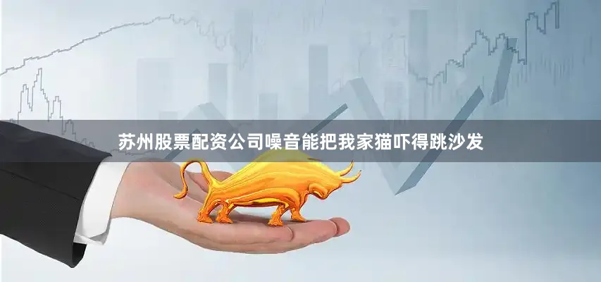 苏州股票配资公司噪音能把我家猫吓得跳沙发